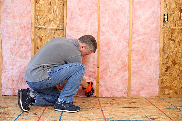 Best DIY Insulation Kits and Guidance in Kingsford, MI